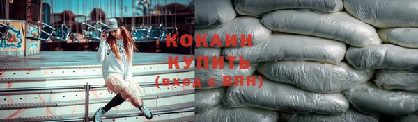 прущий лед Богданович