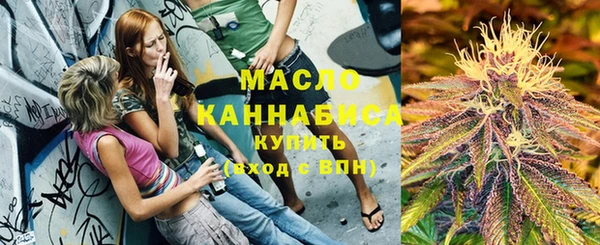 прущий лед Богданович