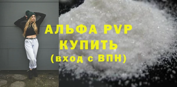 прущий лед Богданович