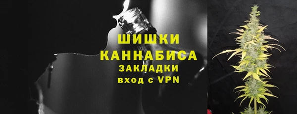 прущий лед Богданович