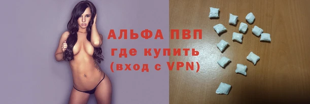 прущий лед Богданович