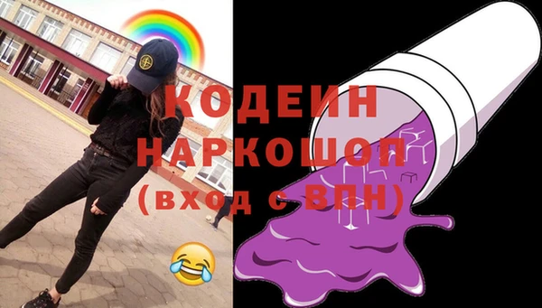 прущий лед Богданович