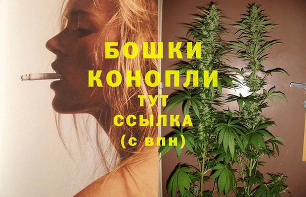 мяу мяу мука Бородино