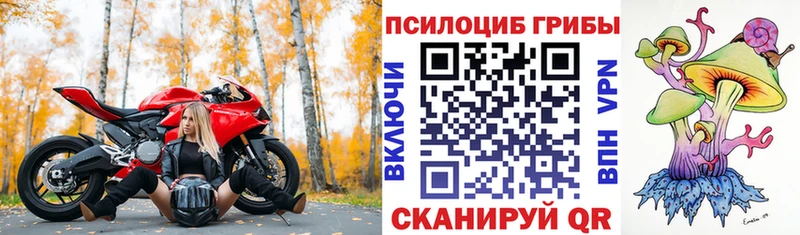 Галлюциногенные грибы прущие грибы  Купино 